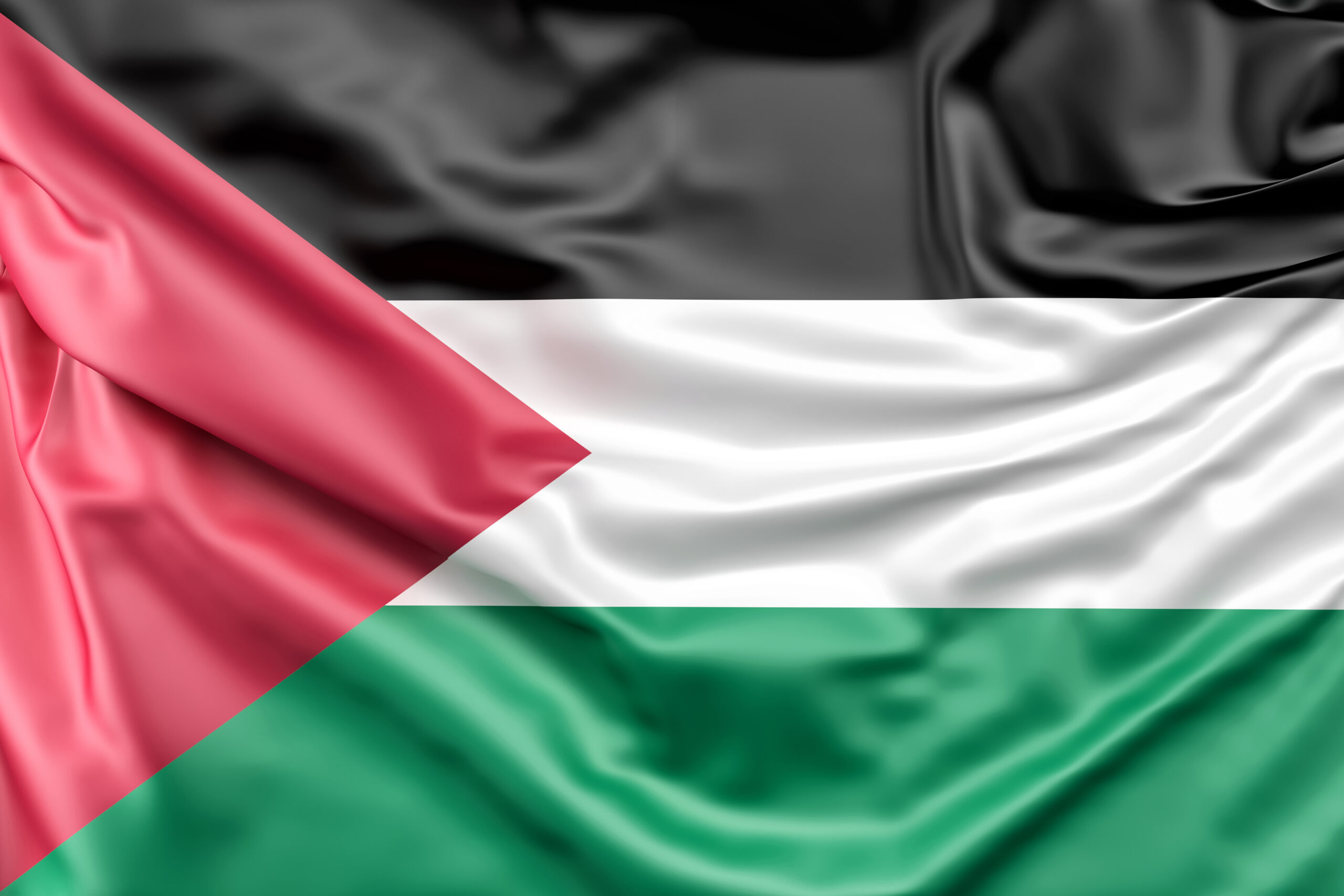 flag of palestine